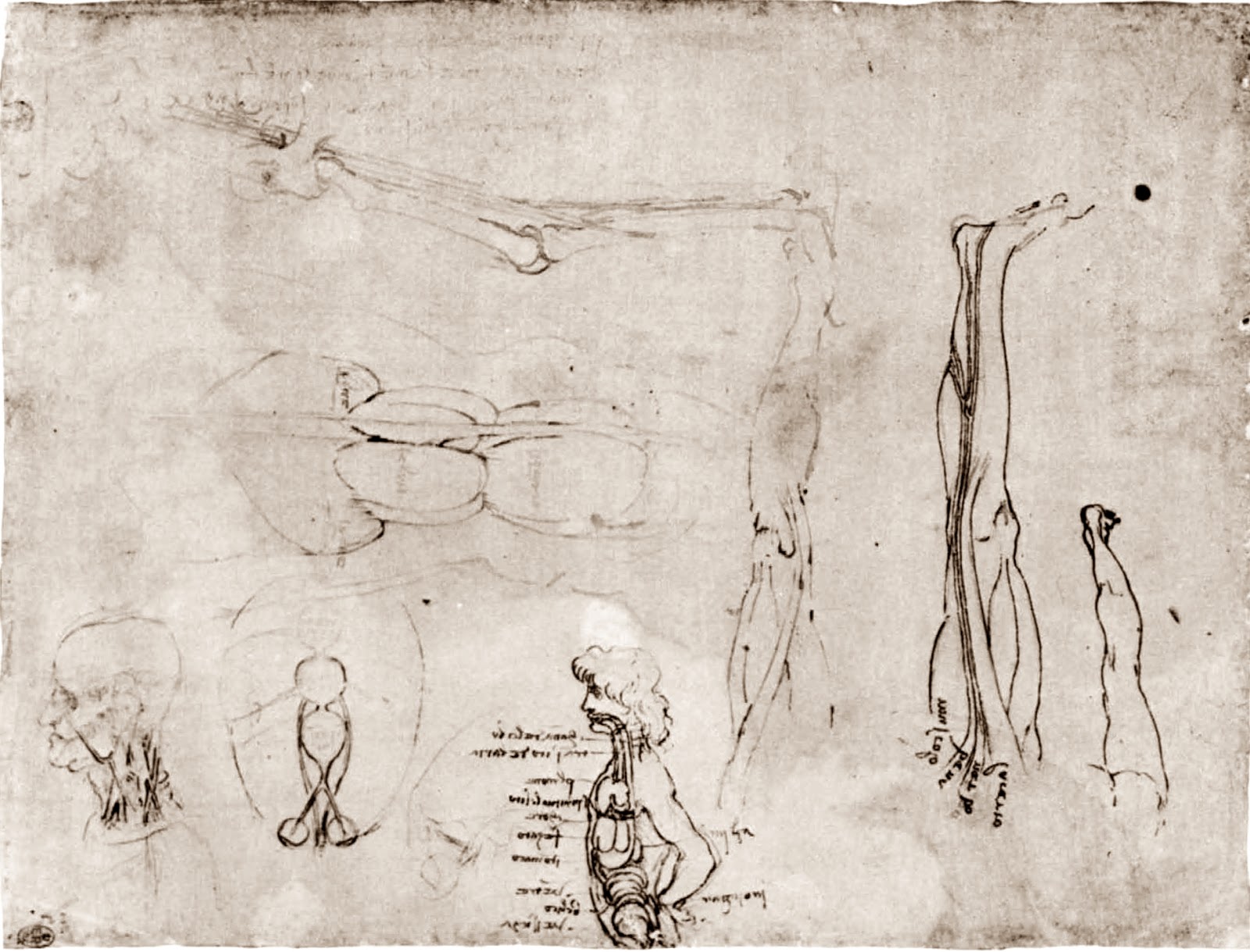 Leonardo+da+Vinci-1452-1519 (745).jpg
